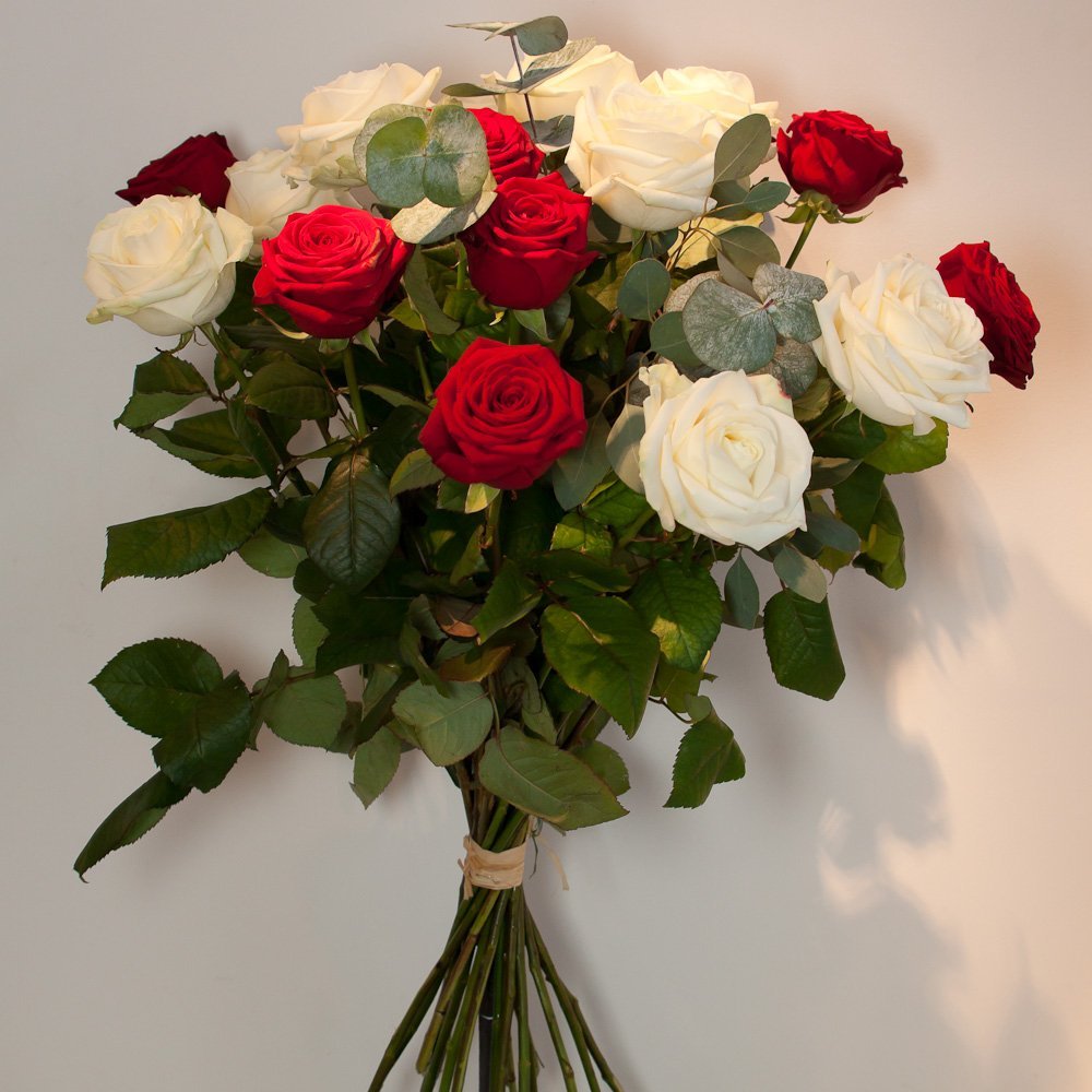 bouquet de roses rouges et blanches | Côté Naturel