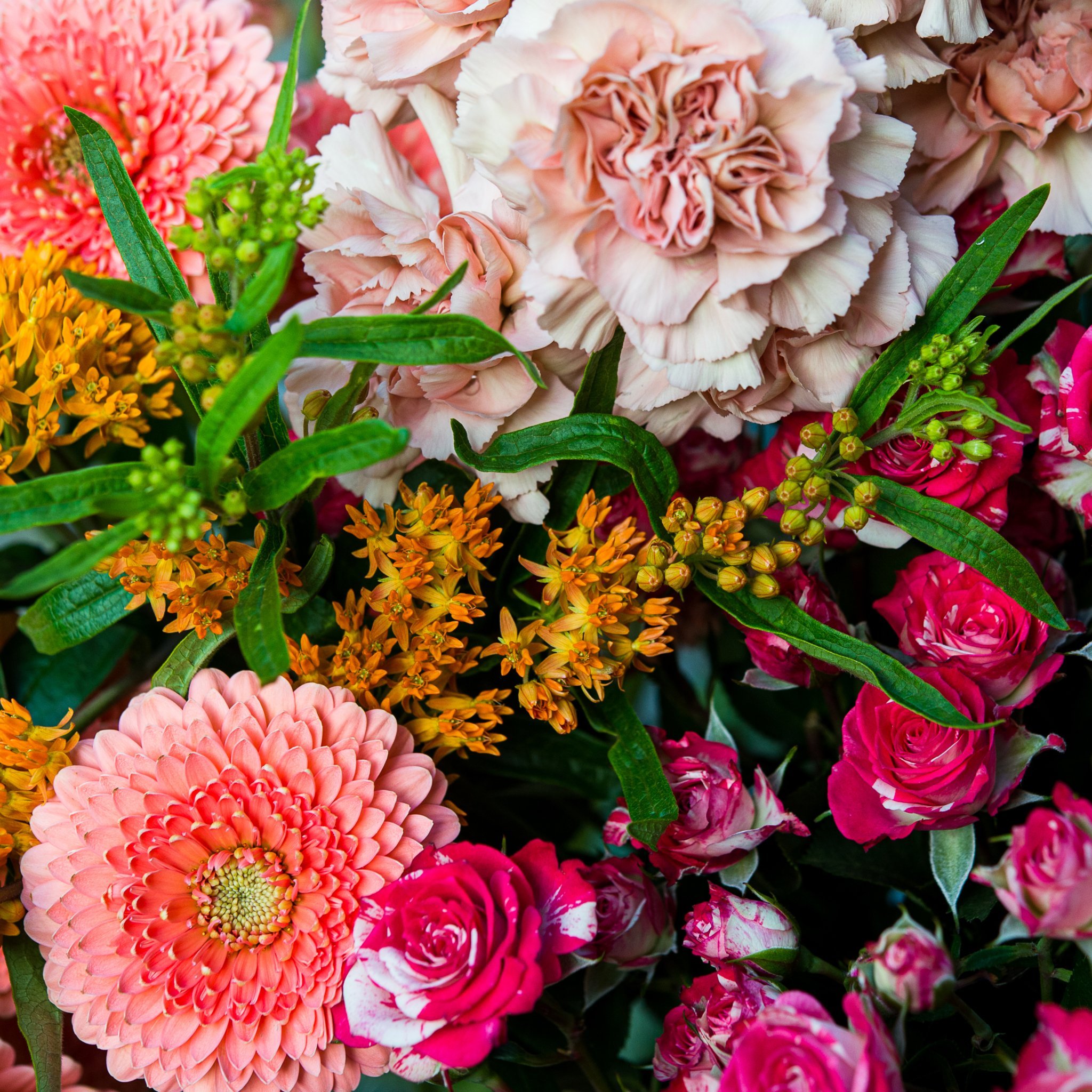 Bouquet de Fleurs Colorées de Saison | Côté Naturel